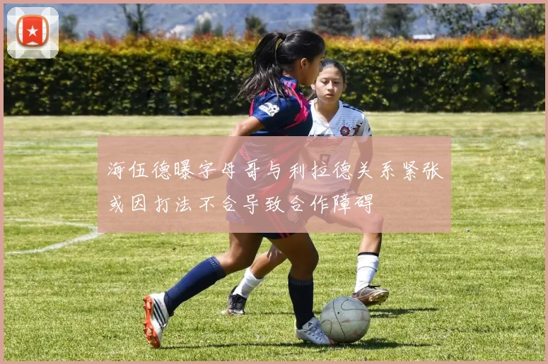 海伍德曝字母哥与利拉德关系紧张或因打法不合导致合作障碍