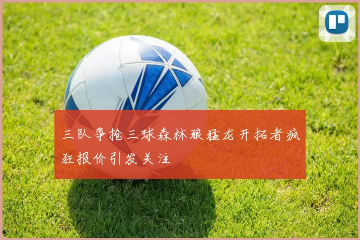 三队争抢三球森林狼猛龙开拓者疯狂报价引发关注